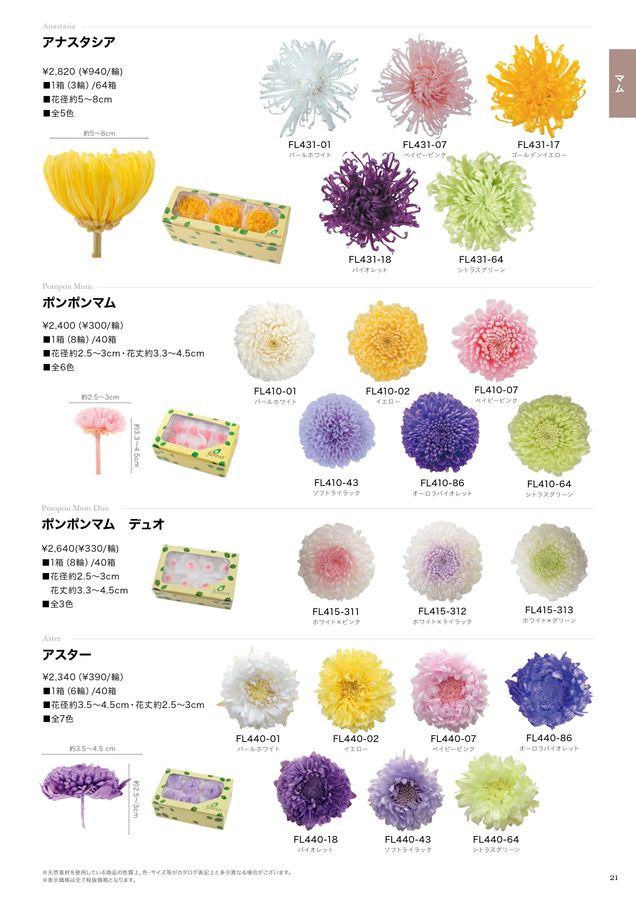 プリザーブドフラワーのFlorever：2023-2024年商品カタログ