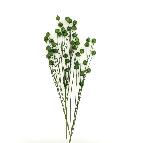 Flower 生活にオリジナルのフラワーを