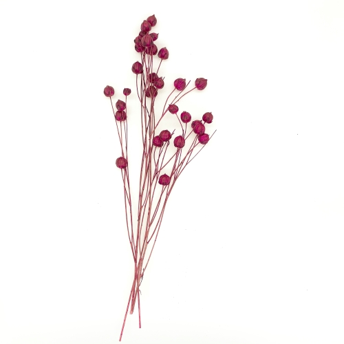 Flower 生活にオリジナルのフラワーを