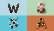 Florever Seasonal Selection