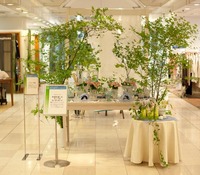 110601Hantoutsuwa_Ishii2.jpg