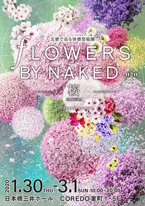 2019_flowers-sakura_mv_1118_text_fin_s.jpg
