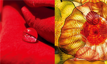 優しさ、ほのかな甘さを感じさせるカラー