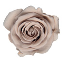 44-ヘーゼルナッツ