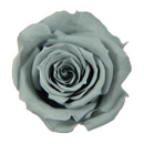 42-ミストグリーン