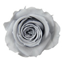 83-シルキーグレー