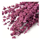 930-ダークピンク