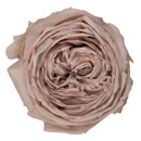 55-ヌードピンク